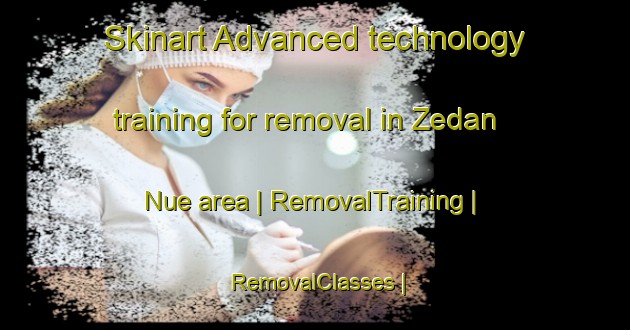 Skinart Advanced technology training for removal in Zedan Nue area | RemovalTraining | RemovalClasses | SkinartTraining-Eritrea